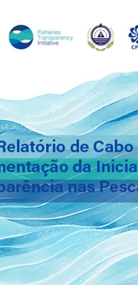 Apresentacao II Relatorio FITI CV